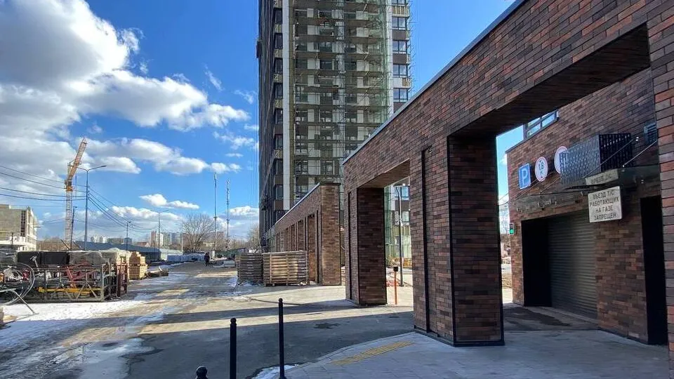 Фото: МедиаБанк Подмосковья/Юлиан Миранду