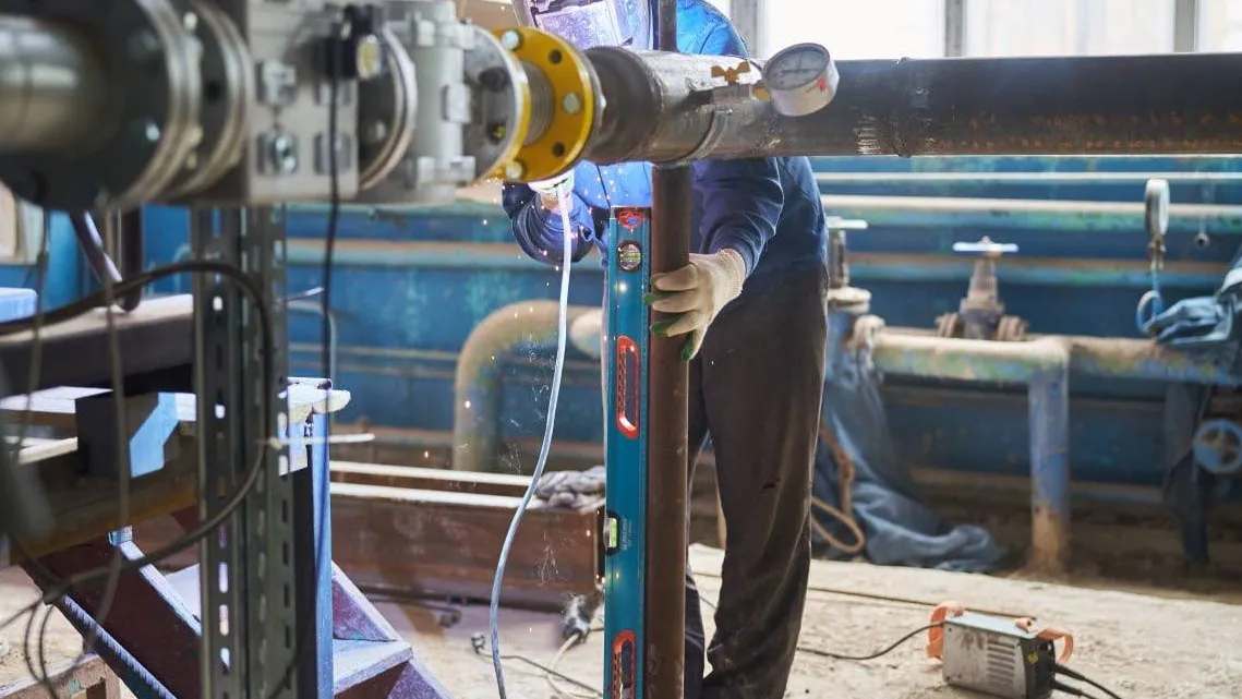 Фото: пресс-служба администрации м. о. Чехов