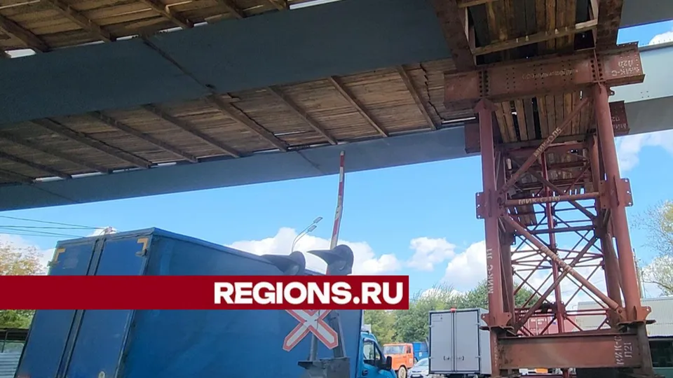 Фото: Никита Сморкалов