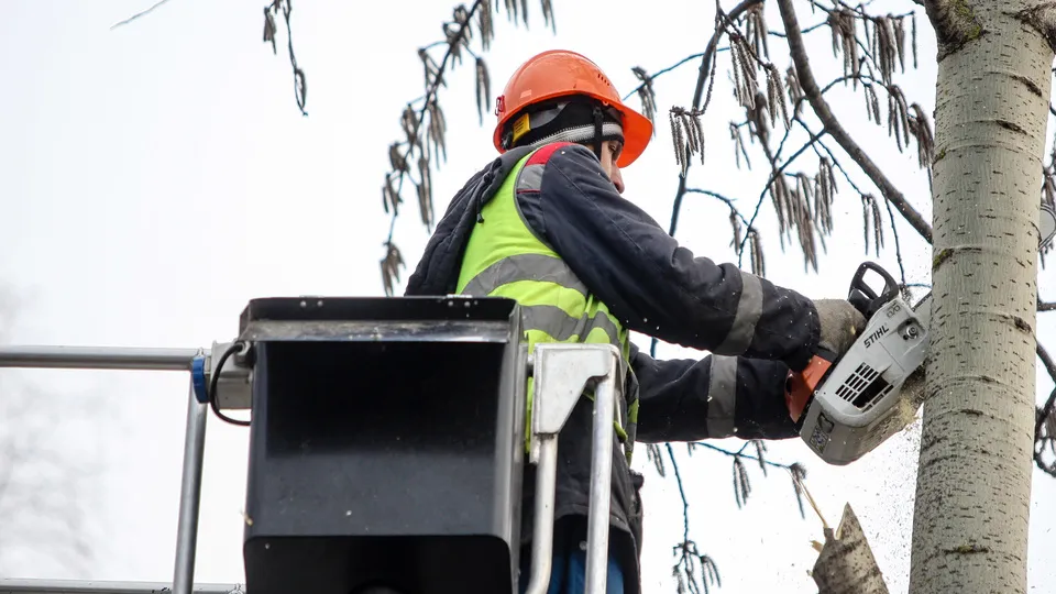 Фото: пресс-служба администрации г.о. Кашира