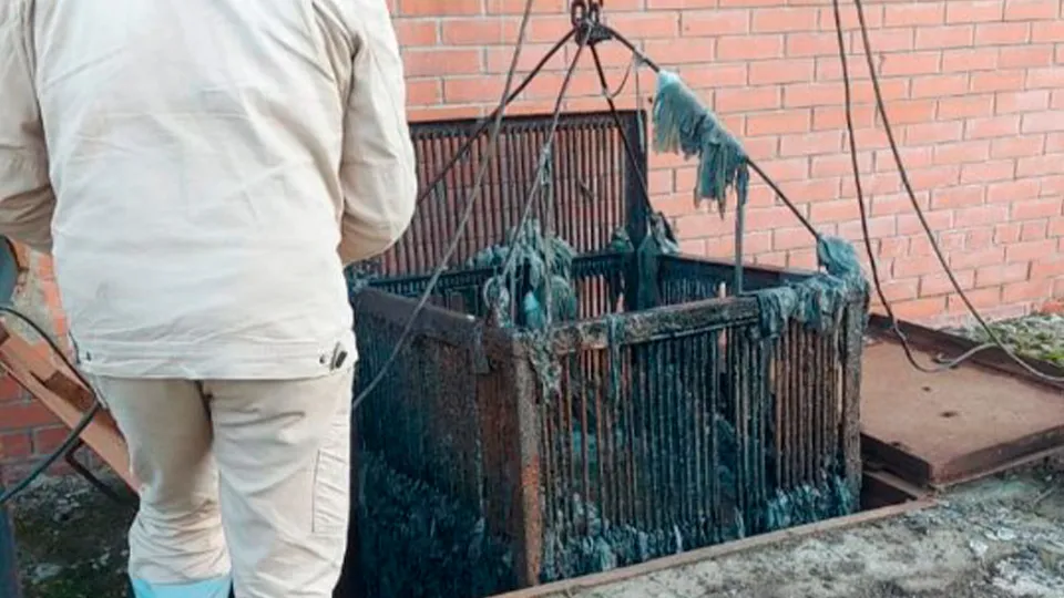 Фото: пресс-служба администрации г.о. Солнечногорск