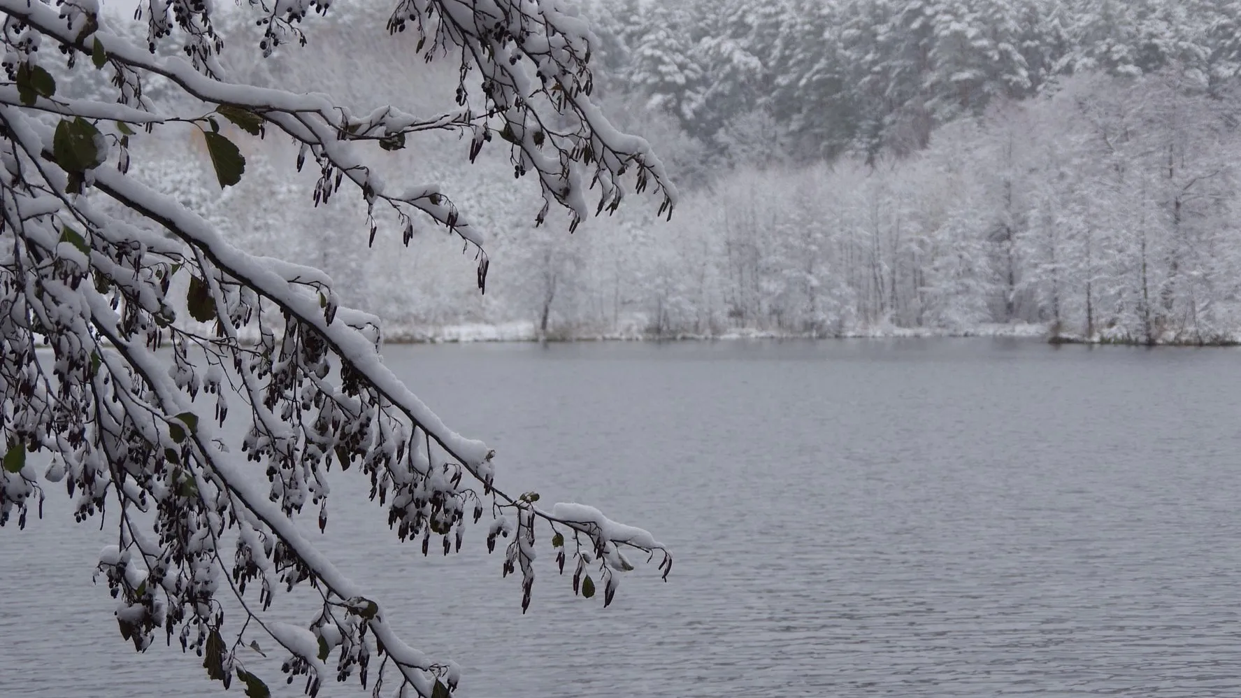 Фото: t.me/serpuhov_live