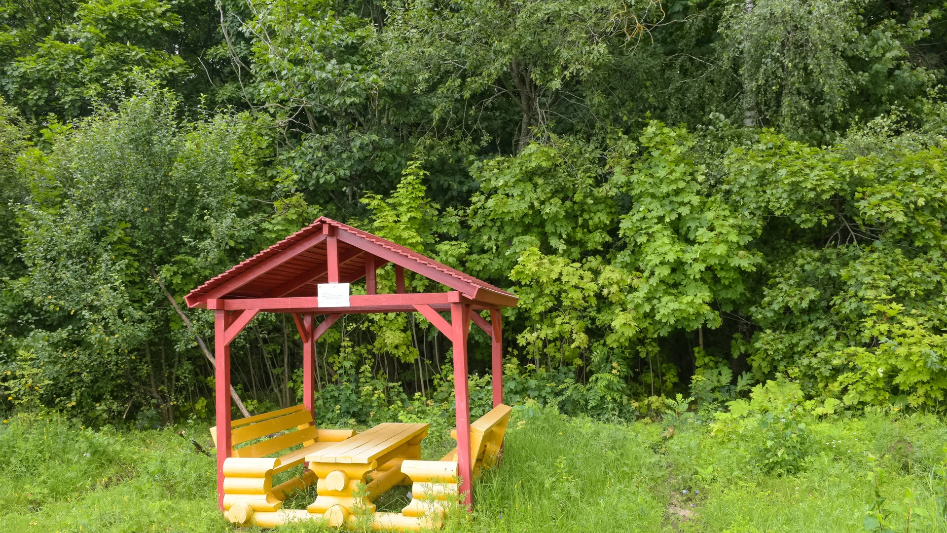 Фото: Евгений Мазепов