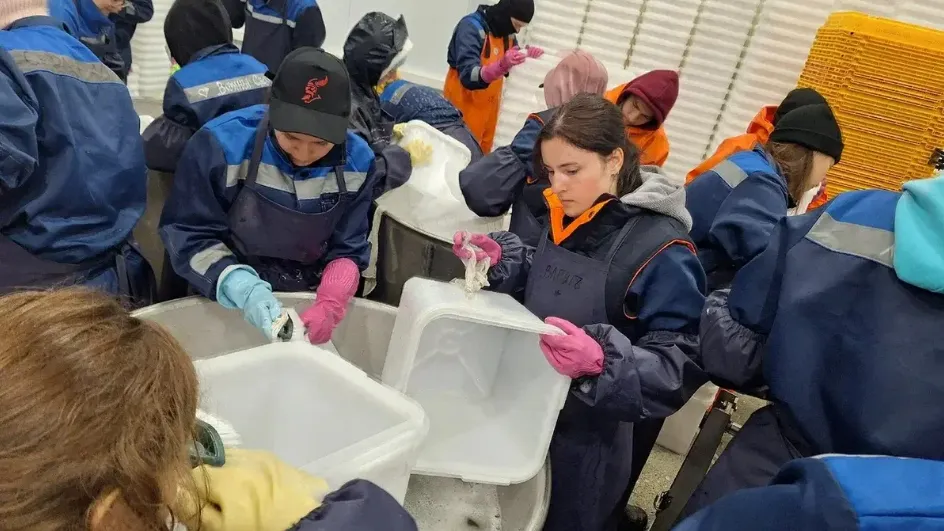 Фото: Студенческие отряды Московской области