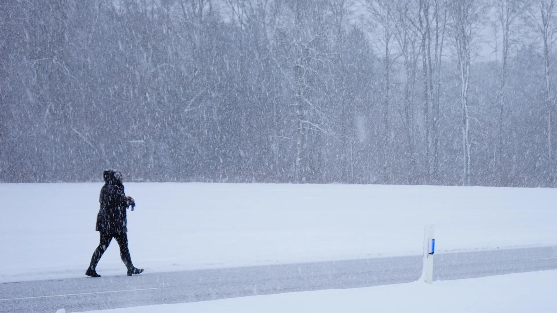 фото: pxhere.com