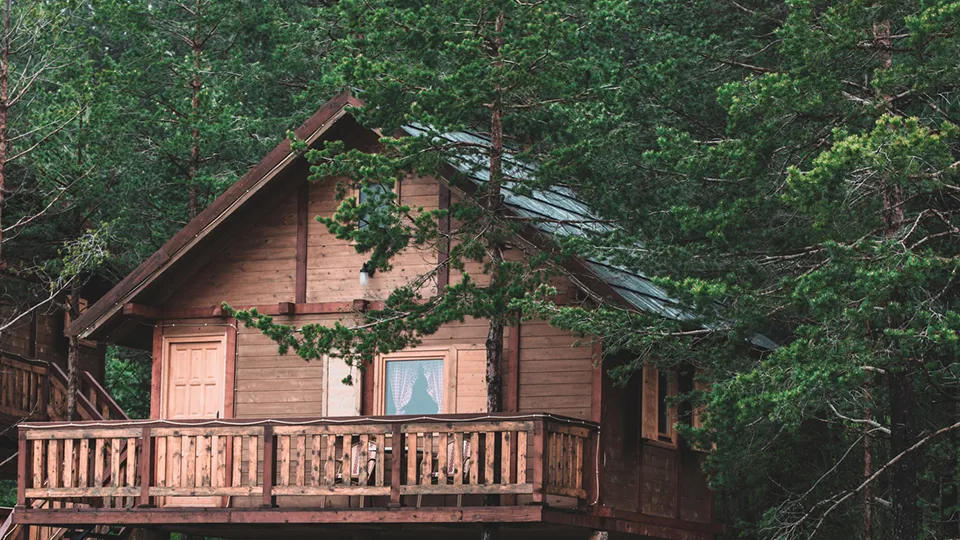 Фото: istockphoto.com/Taking an image, freezing a moment, reveals how rich reality truly is