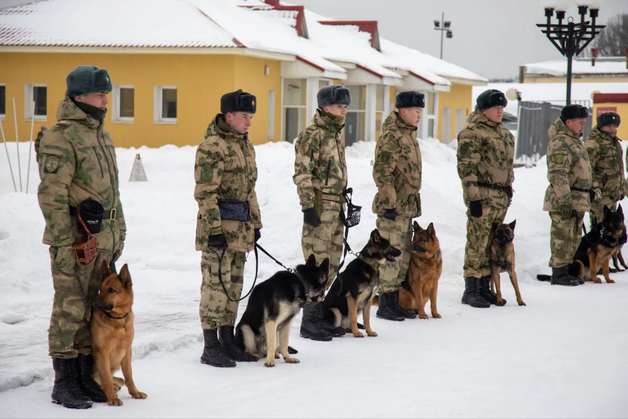 Фото: пресс-служба администрации г.о. Королев