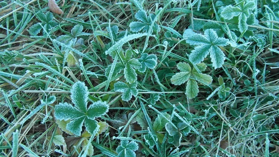 Фото: pxhere.com