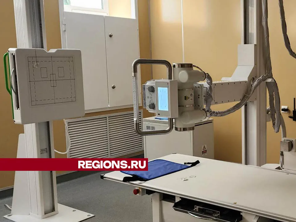 Фото: Валерия Тингаева