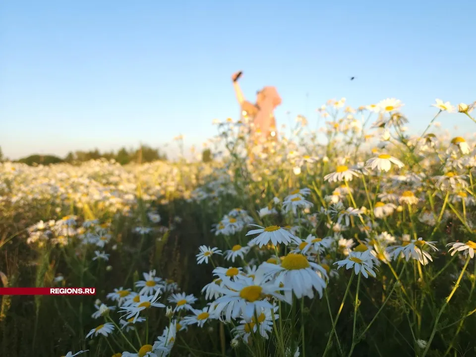 Фото: Никита Сморкалов