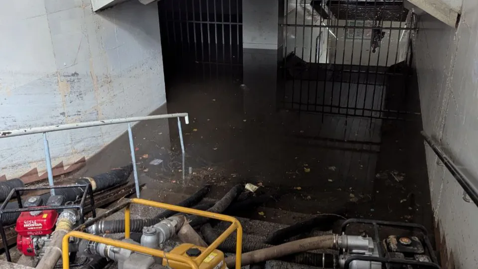 Фото: REGIONS/Артем Мишуков