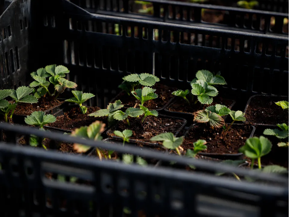 Фото: REGIONS/Наталия Надточая