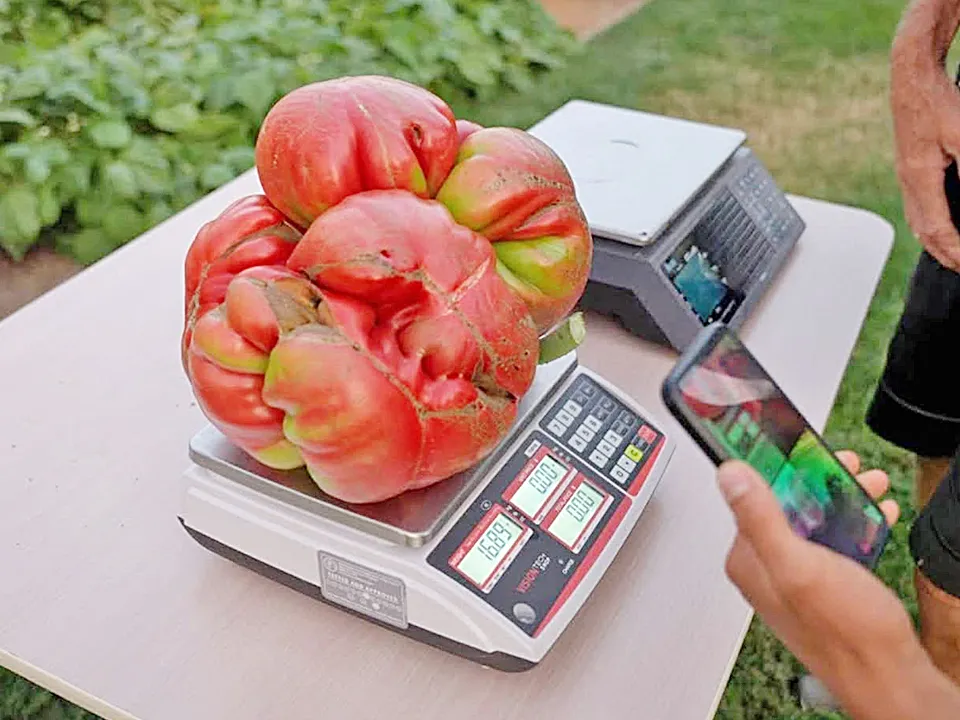 Фото: Алина Романова