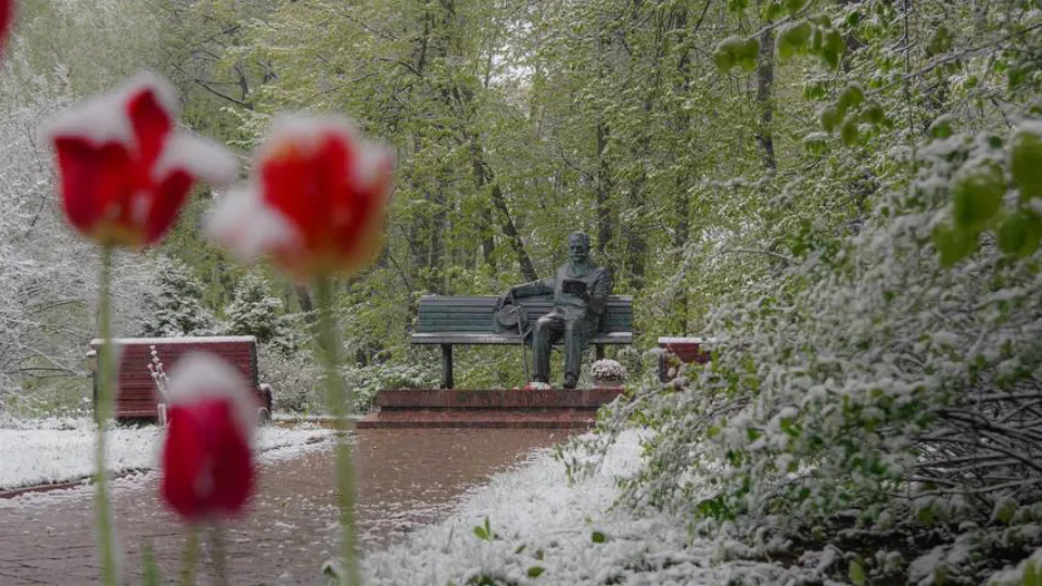 Фото: t.me/Алена Сокольская