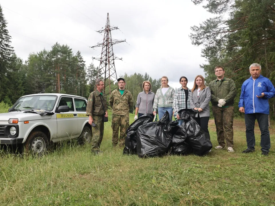 Фото: Комитет лесного хозяйства МО