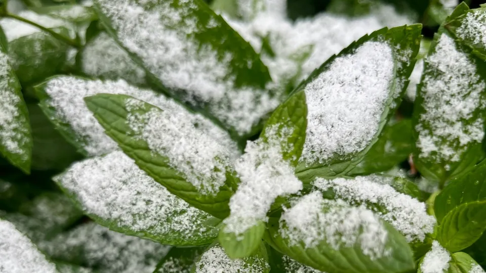 Фото: unsplash.com