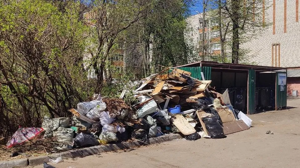 Фото: t.me/Подслушано | Истра