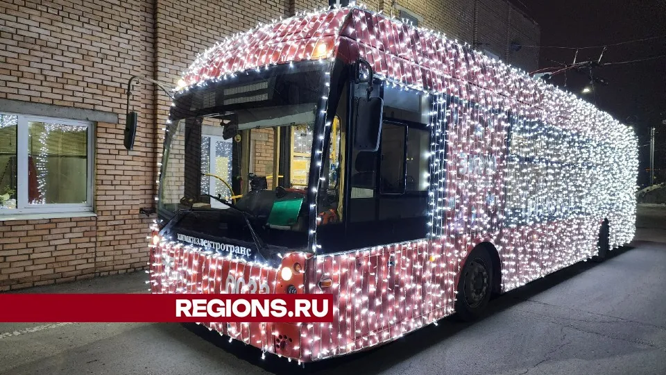 Фото: Максим Сафронов