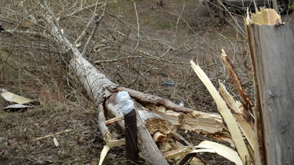 Фото: РИА Новости/Алексей Мальгавко