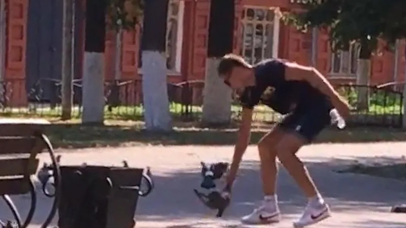 Хулиган забил до смерти голубей в Клину 