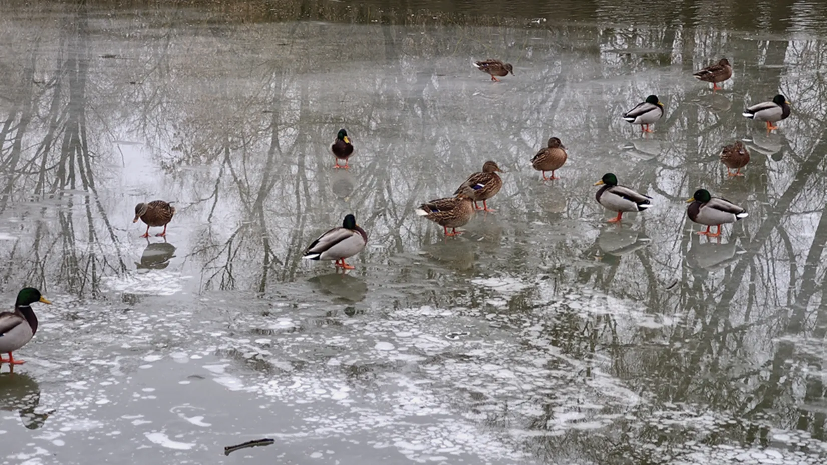 Фото: REGIONS/Алексей Селиверстов