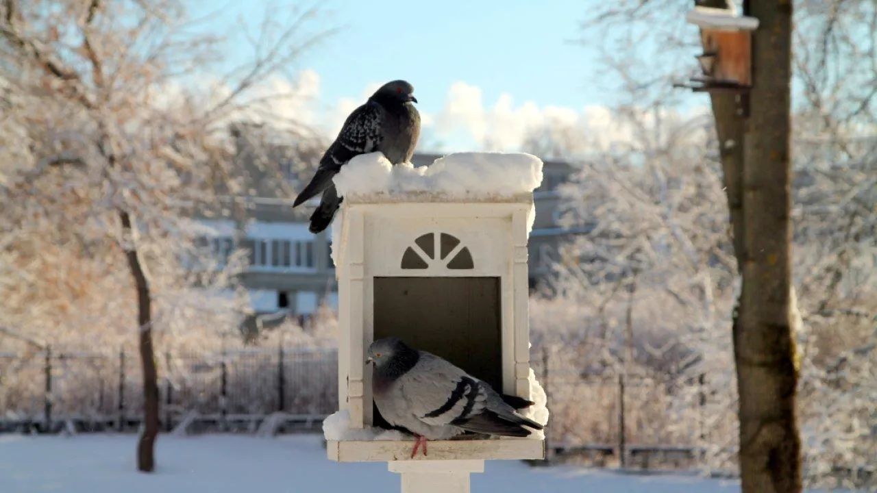 REGIONS/Наталья Дорофеева