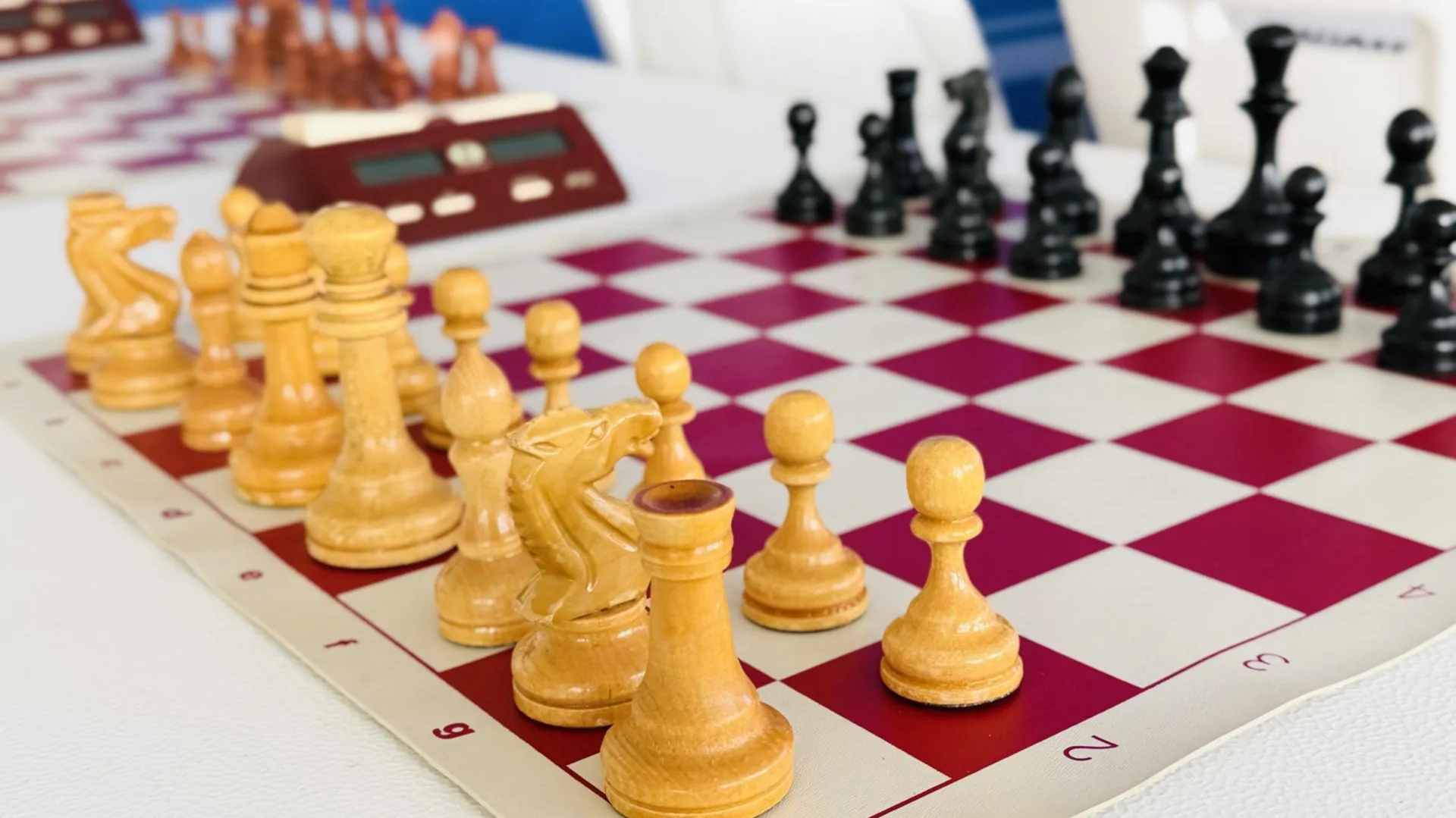 МедиаБанк Подмосковья/Ольга Стаферова