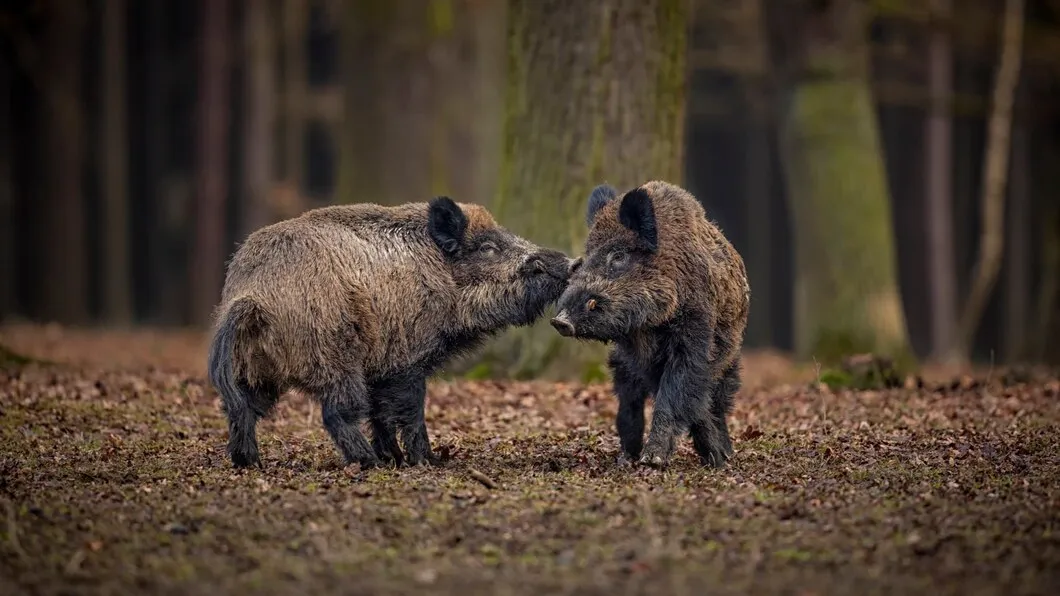 Фото: freepik.com