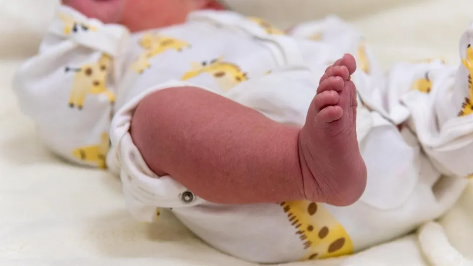 Фото: Щелковский перинатальный центр