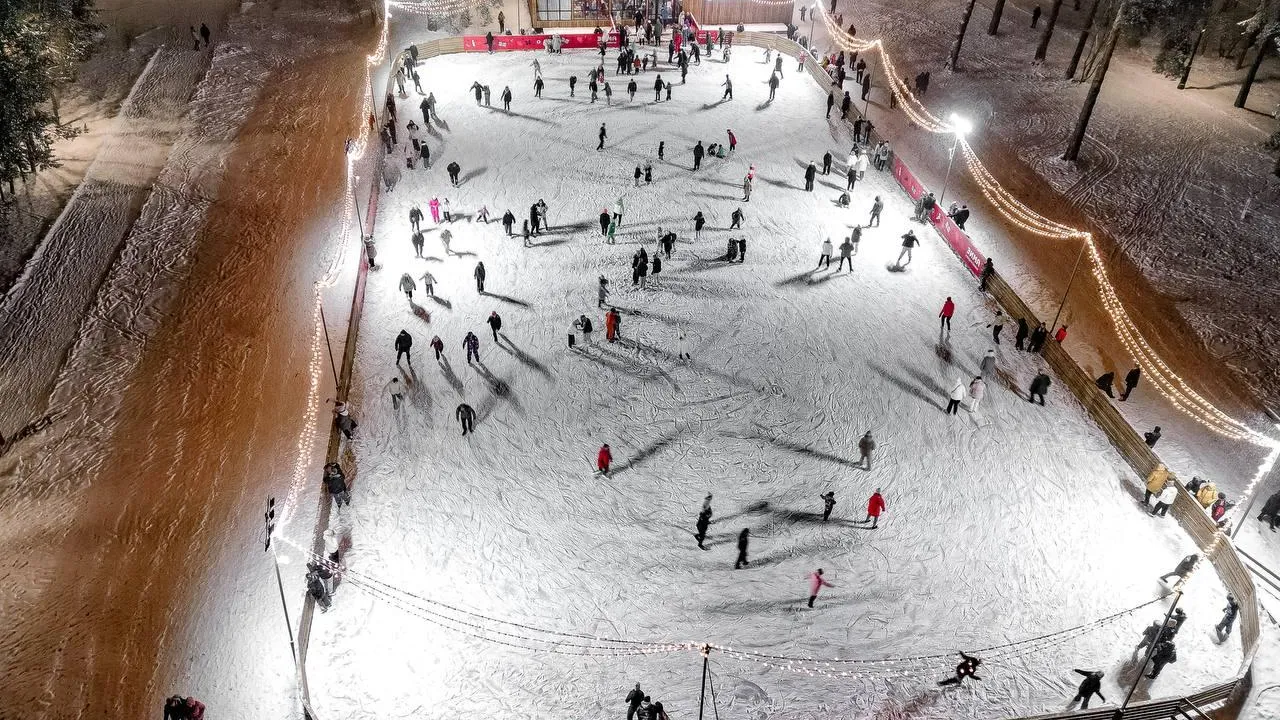 Фото: Министерство благоустройства Московской области