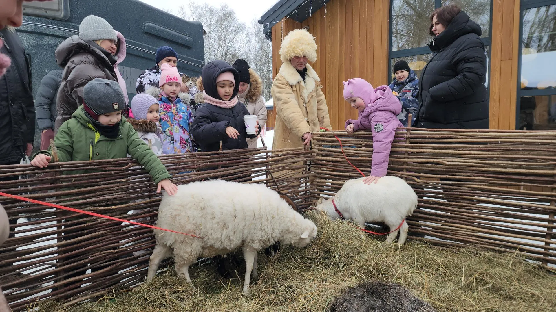 МедиаБанк Подмосковья/Юлия Смагринская