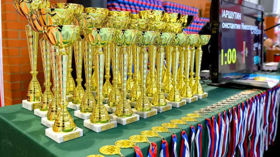 Фото: пресс-служба администрации г. о. Подольск