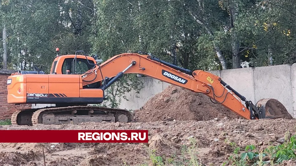 Фото: Хавива Фонина