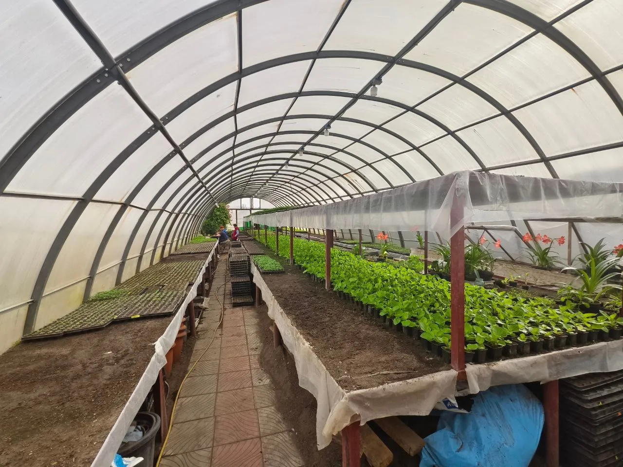 Фото: пресс-служба администрации Серпухова