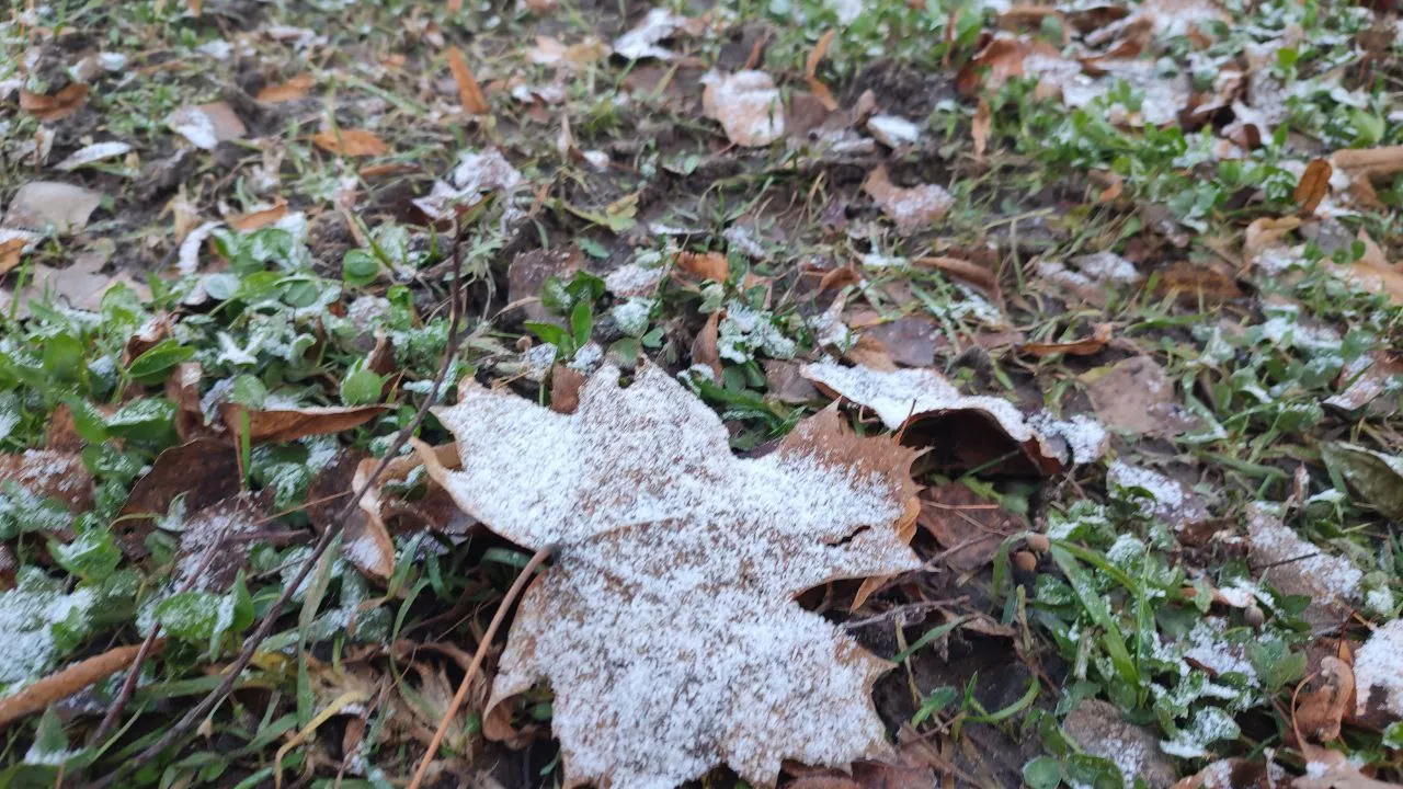 Фото: REGIONS/Елена Забелина