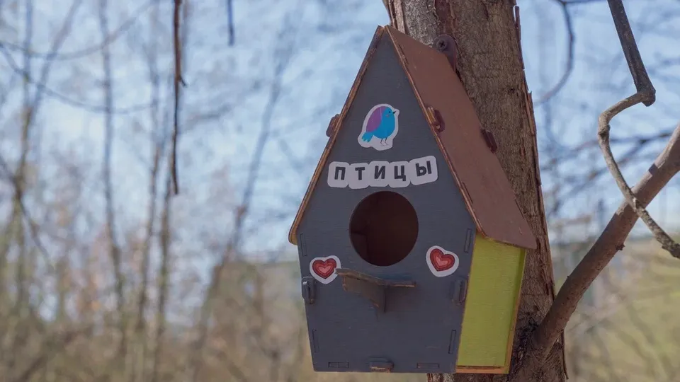 Фото: REGIONS/Наталия Надточая