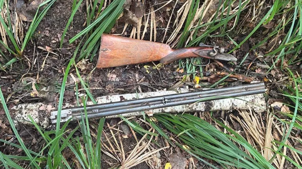 Фото: t.me/gsuskmosobl