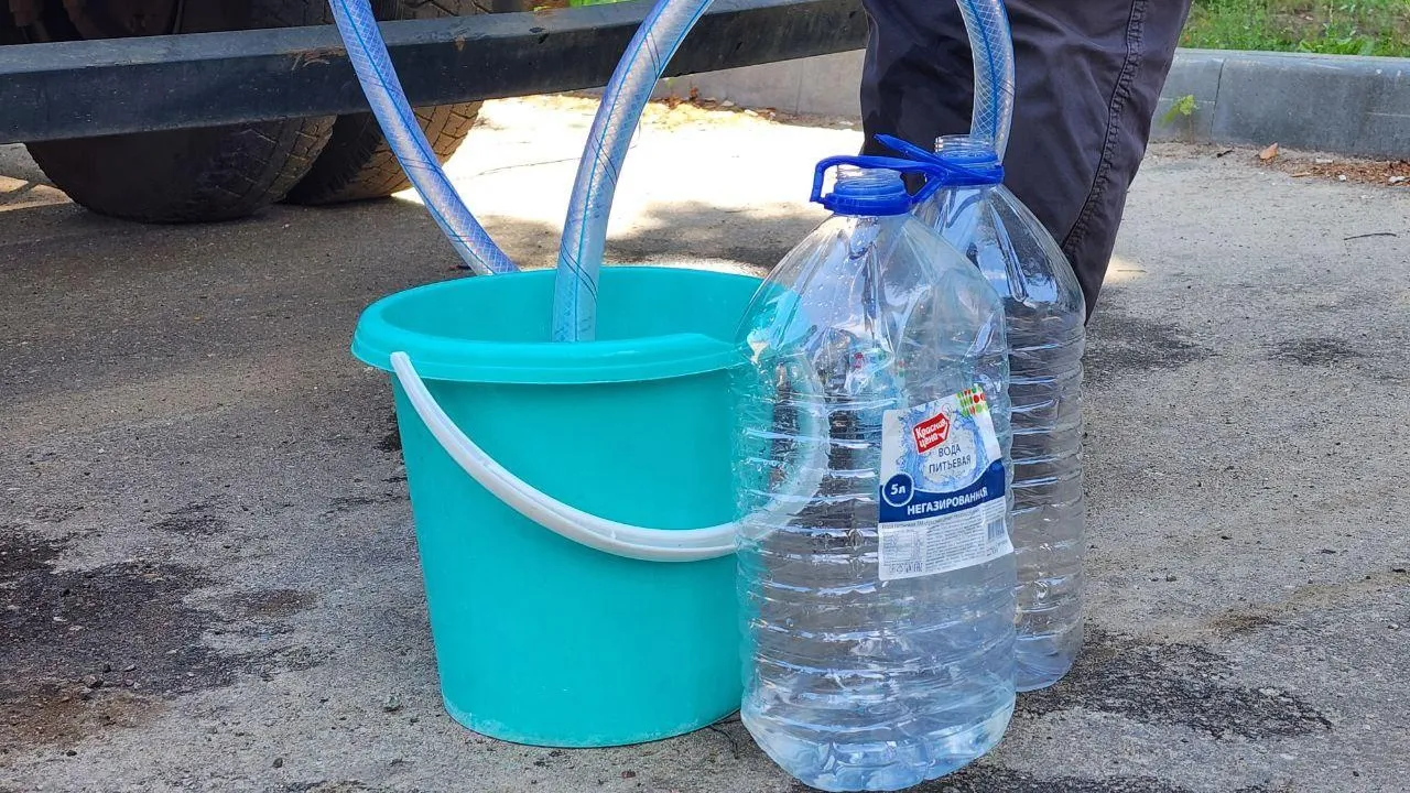 Фото: Светлана Плотникова