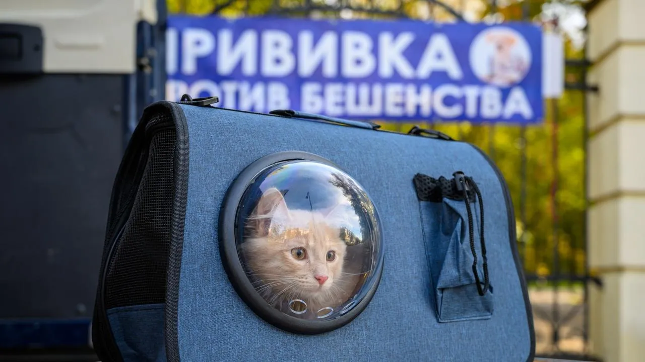 медиасток.рф