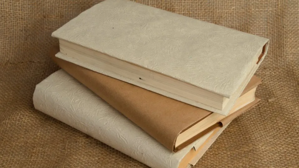 Фото: REGIONS/Дарина Левкина