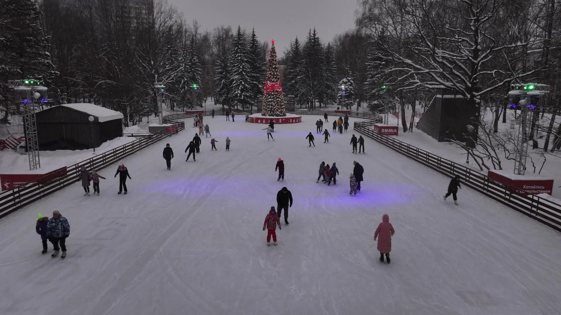 Дарья Московцева