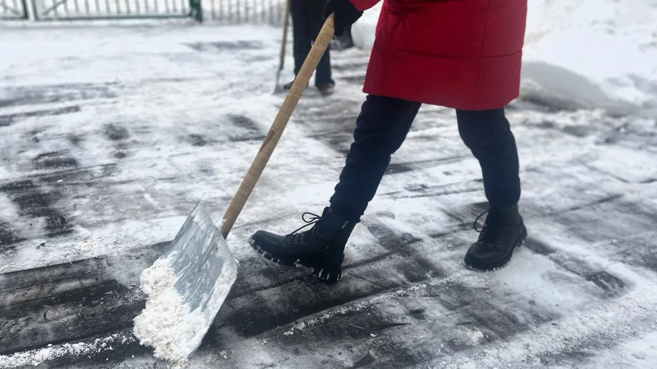 Фото: пресс-служба администрации г.о. Подольск