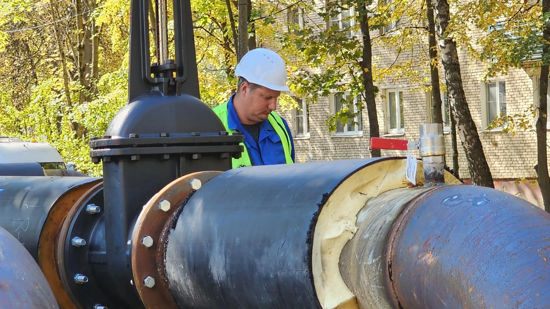 Светлана Плотникова