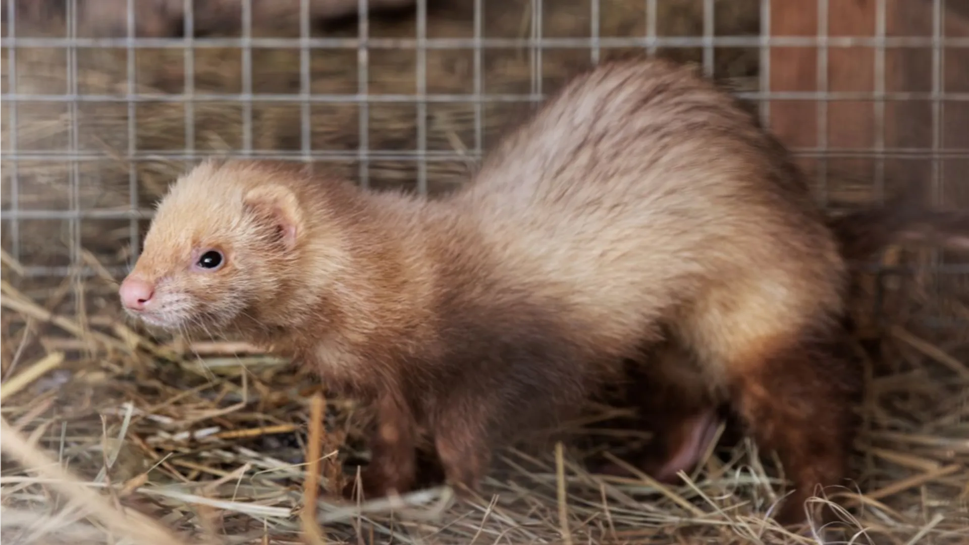 Фото: медиасток.рф