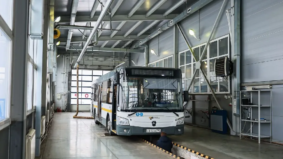 Фото: медиасток.рф