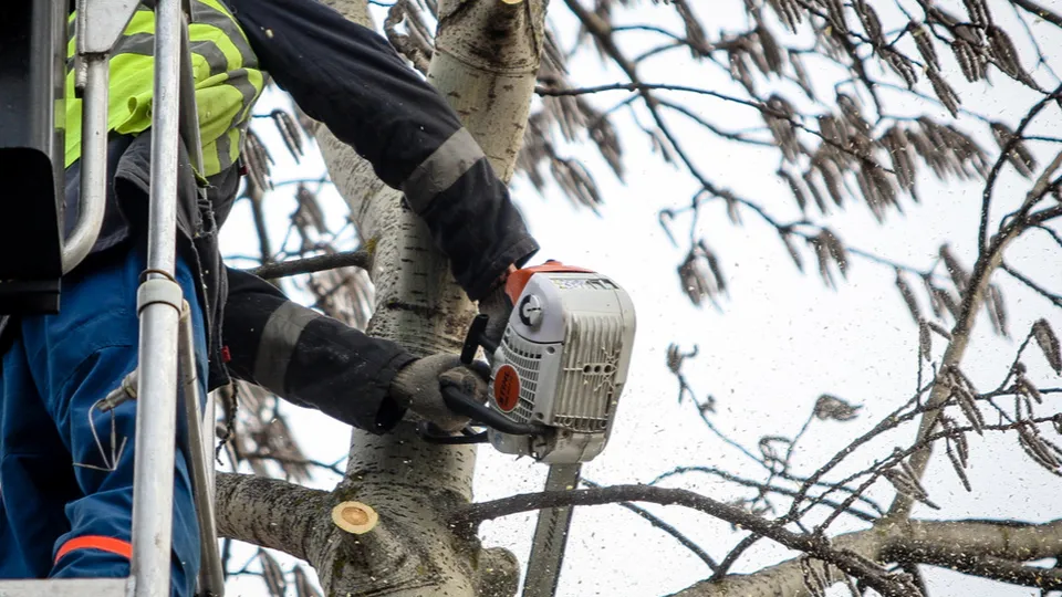 Фото: пресс-служба администрации г.о. Кашира