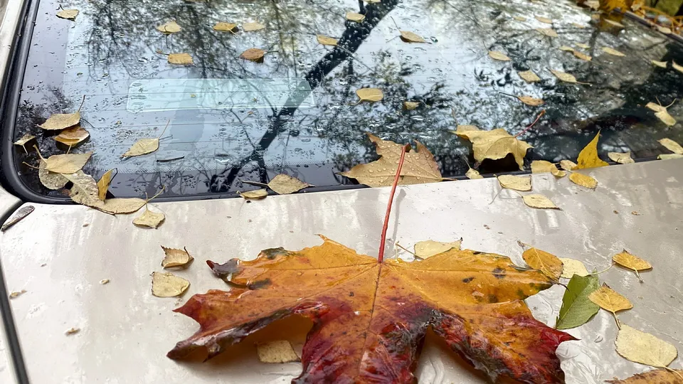 Фото: Александр Легкий