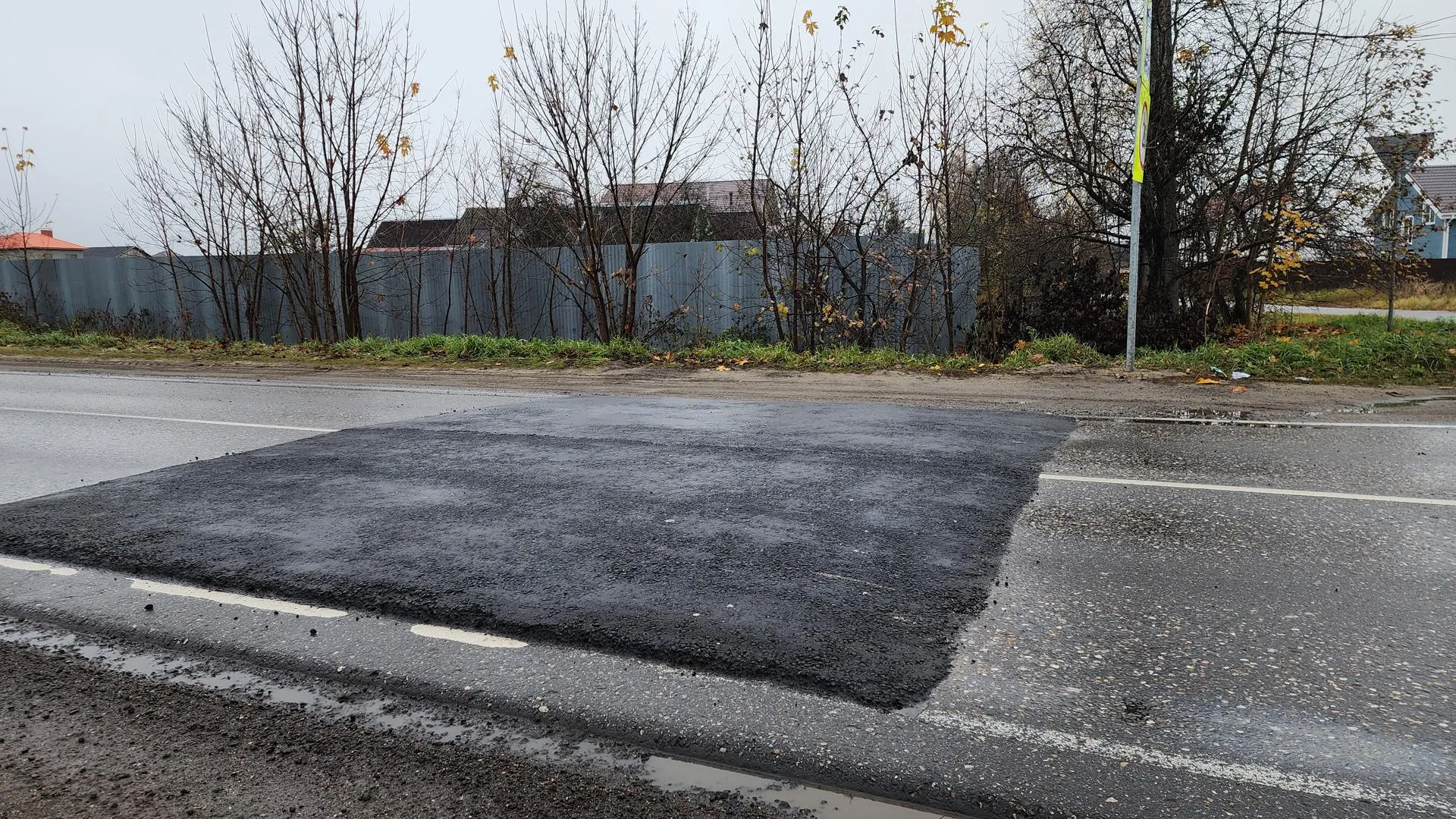 Фото: МедиаБанк Подмосковья/Иван Петрушин