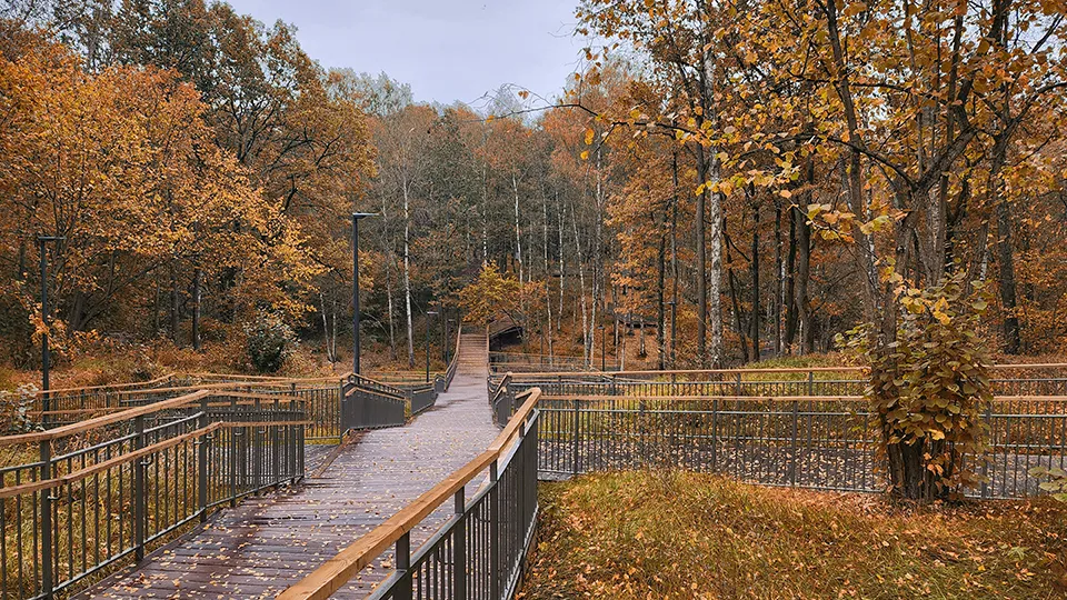 Фото: REGIONS/Никита Сморкалов