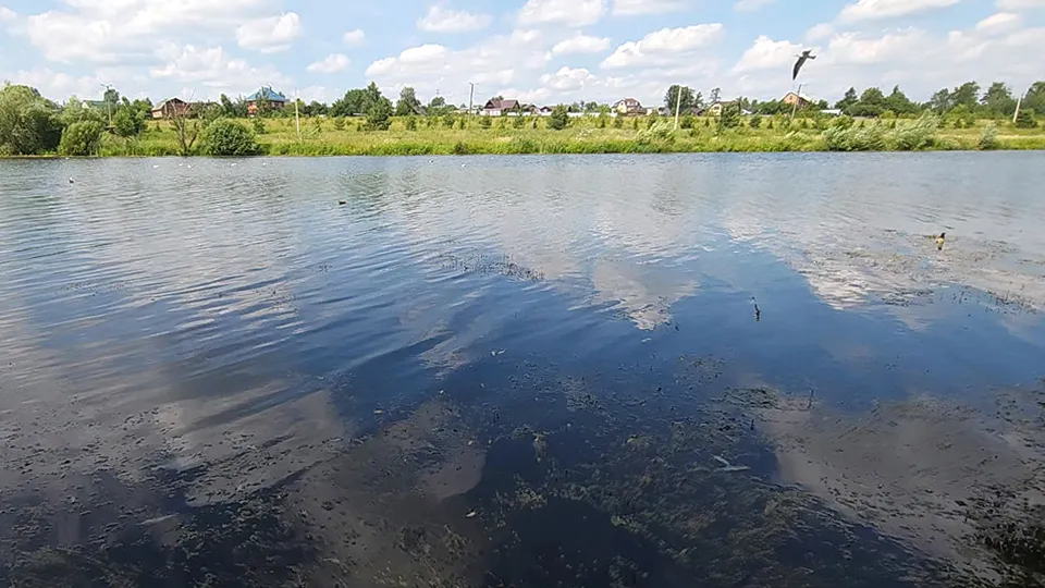 Фото: МедиаБанк Подмосковья/Никита Сморкалов